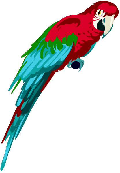 The image shows a colorful parrot with red feathers on its head and wings against a black background.