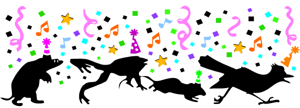 The image shows a confetti effect with colorful stars against a dark background.