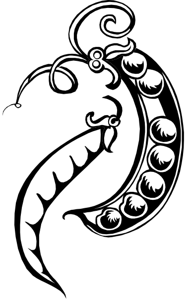 The black and white illustration features a stylized octopus with its tentacles spread out against an abstract background that includes what appears to be musical notes at the bottom of each panel.