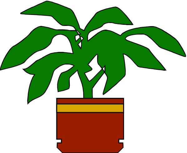 The image shows a potted plant with green leaves placed on top of what appears to be an orange pot inside another red container against a black background.