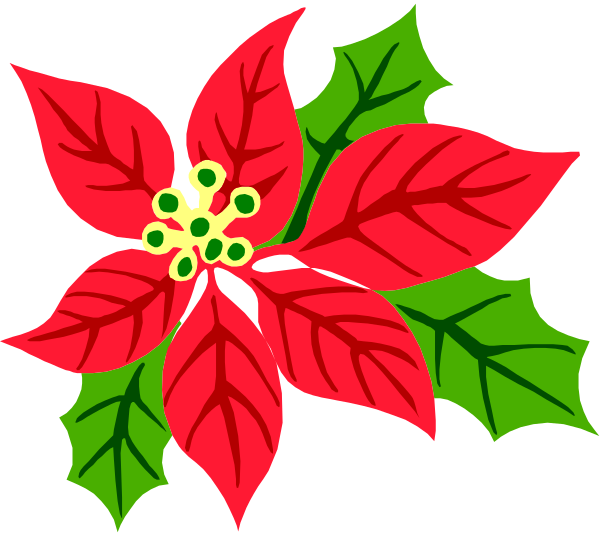 The image shows a colorful illustration of poinsettia leaves with red flowers at their center surrounded by green stems against a white background.