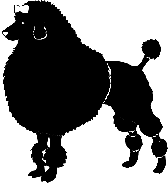 The black and white photo shows a person standing next to an animal with horns on its head; both appear silhouetted against a dark background that has some indistinct shapes in it as well.