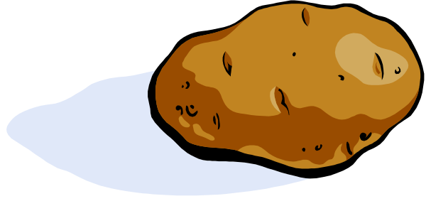 The image shows a single piece of food that resembles an egg roll with visible layers on top placed against a white background.