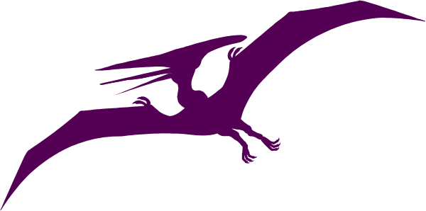 The image shows a purple dragon with wings on top of it flying over an unseen landscape at nighttime.