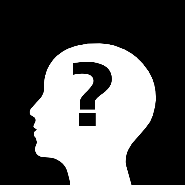 The black silhouette of a human head with an exclamation mark superimposed over it on top of what appears to be a white background.