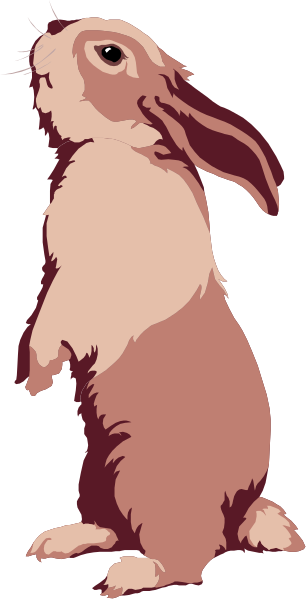 The image shows a cartoon rabbit standing upright on its hind legs with front paws raised as if waving against a black background.
