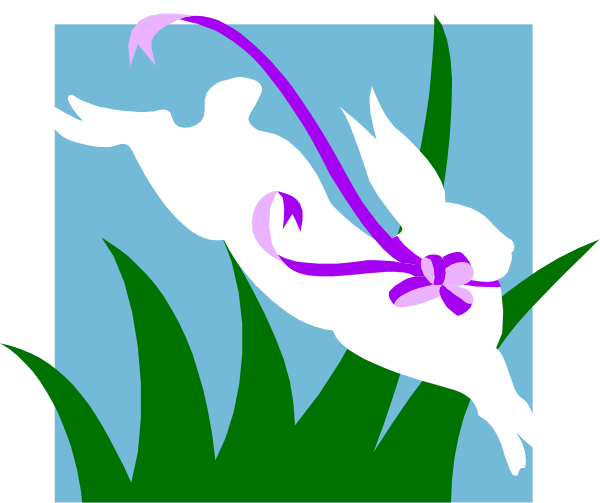 The image shows a white swan with its wings spread out on top of green grass near water under an open blue sky.