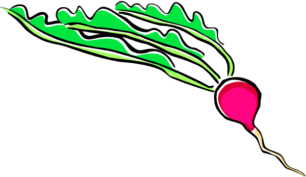 The image shows a cartoon of an eggplant with leaves on top flying through space next to two carrots that appear to be in motion against a dark background.