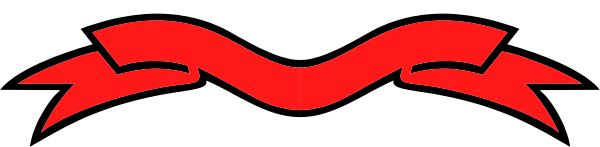 The red logo of a company with two stylized wings on either side is shown against a gray background.