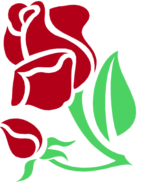 The image shows a red rose with green leaves on it next to an illustration of a leafy plant that resembles cannabis in coloring book form against a white background.