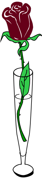 The image shows a single white rose with green leaves on it against a gray background.