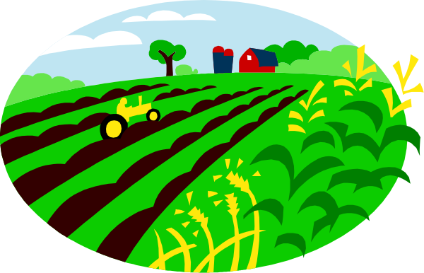 The illustration depicts a rural scene with an oval frame around it showing two fields of crops: corn on top left corner and beans in bottom right corner; there's also a tractor driving through one field, a barn visible behind some trees to the far left side, green pasture surrounding both crop areas.