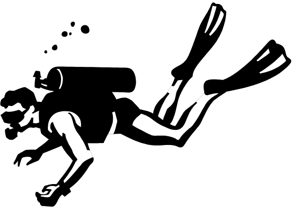 The black and white photo shows a blurry scene of an object that appears to be falling from above with motion lines indicating speed around it; there is no clear indication of what exactly this image represents due to its low resolution, but it could possibly depict something like a person or animal in mid-air.