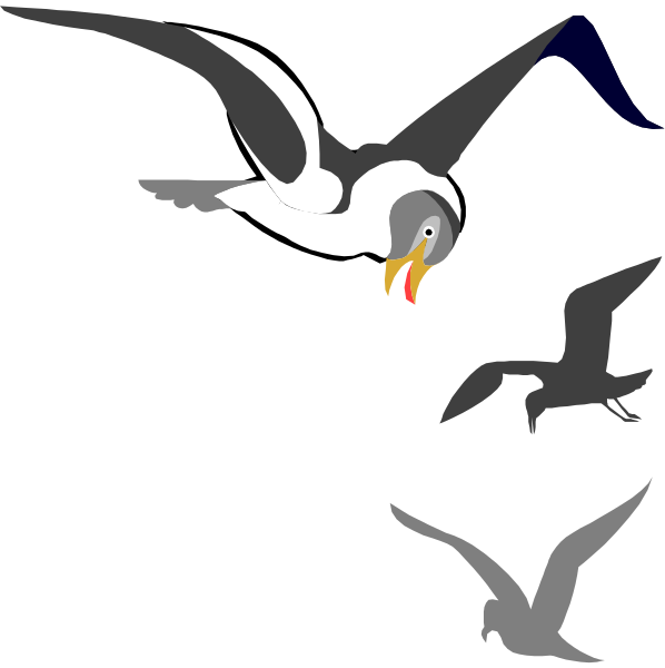The illustration shows a seagull flying above two birds on land; it is depicted with wings spread wide as if in flight against a dark background.