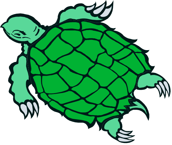 The image shows a cartoon turtle with an open shell on its back, swimming underwater next to what appears to be seaweed.