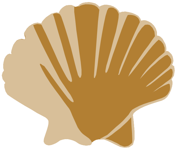 The image shows a stylized depiction of an orange shell with two open ends facing upwards against a white background.