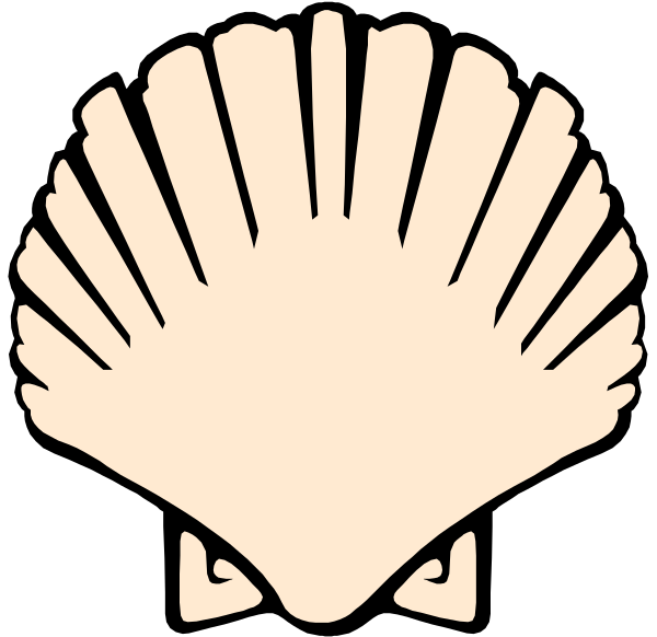 The image shows a stylized graphic of two shells with an open clam inside them against a black background.