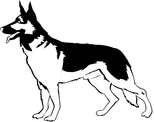 The black and white silhouette of a wolf standing next to two dogs on what appears to be an icy surface with snowflakes falling around them in front of a dark background. There is no text present, so there's nothing else that can be described or named within the image provided. It seems like it could represent wintertime and animals interacting outdoors during cold weather conditions. The focus on silhouettes suggests an emphasis on shapes rather than details about their appearance.