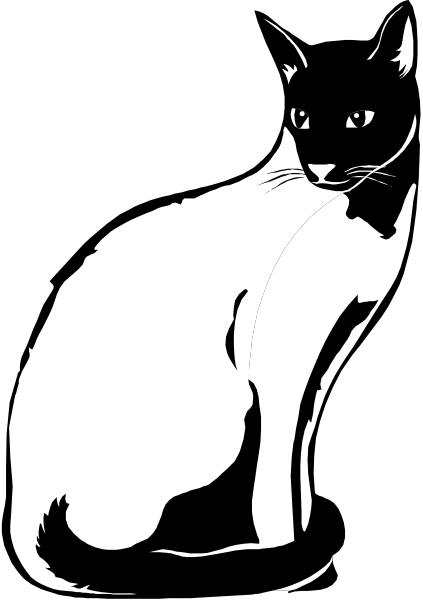 The black cat sits on a white surface with its tail curled around it.