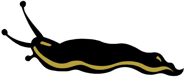 The image shows a black cat with white paws standing on top of an orange banner that has text written across it in red letters; however, due to the resolution and size of the clip-art image provided, I cannot read the specific content of the text or provide more detailed information about its context.