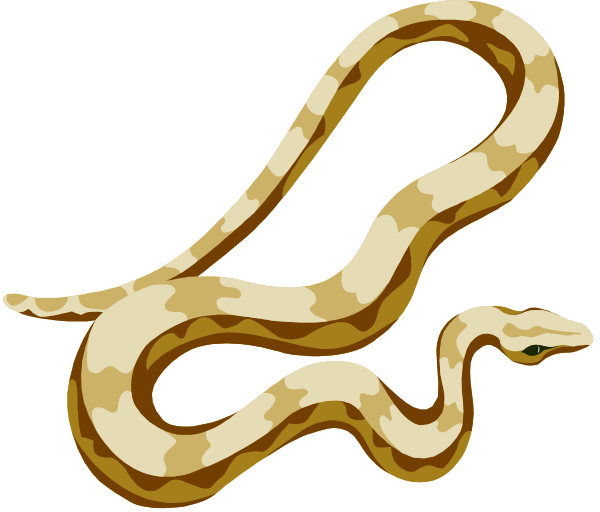 The image shows a cartoon depiction of an animated snake with camouflage scales coiled around itself against a black background.