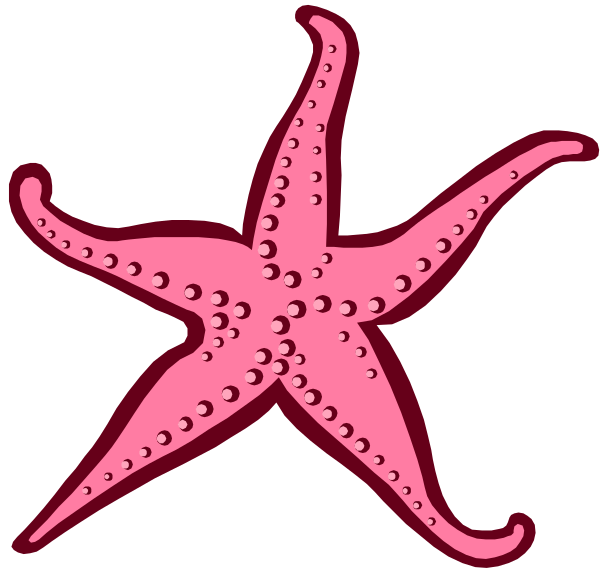 The image shows two pink starfish with black dots on a dark background.