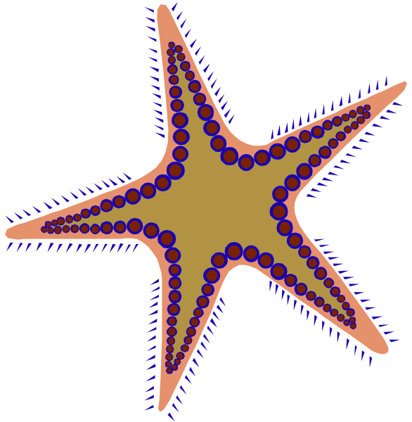 The image shows two starfish with a black background; on the left side is an orange starfish with blue dots representing its spines against white circles that could be interpreted as bubbles in water, while on the right side there's another similar-looking starfish but without any text or additional elements.