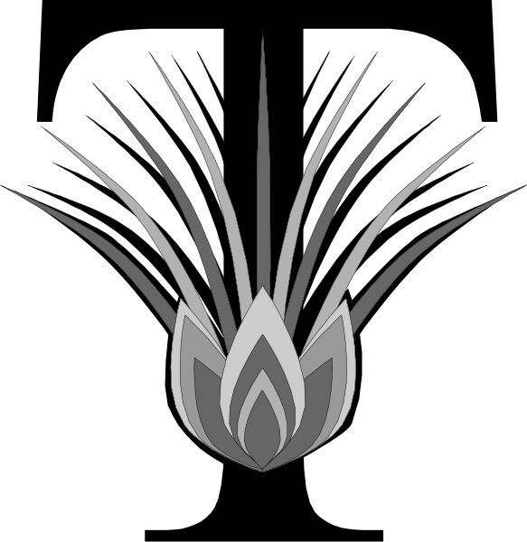 The black and white logo of a company with an abstract design resembling a stylized hand holding up two fingers on top of each other in front of what appears to be a sunburst pattern behind them, all set against a dark background.
