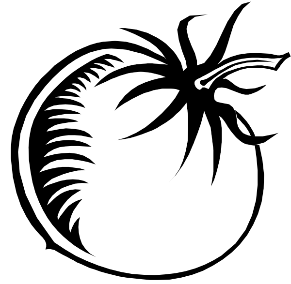 The black and white logo features a stylized depiction of an eye with eyelashes on either side at its top edge, resembling eyebrows; below it is what appears to be a circular pattern that could represent leaves or feathers emanating from beneath the eyebrow-like elements.