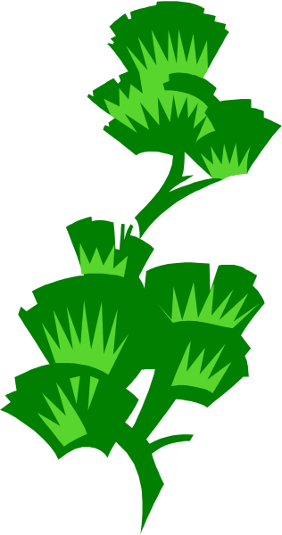 The image shows a black and white photo of green plants with spiky leaves against a gray background.