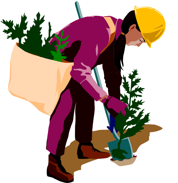 The illustration depicts a person wearing safety gear planting plants from pots into soil using gardening tools while standing in front of two large planters filled with greenery on either side.