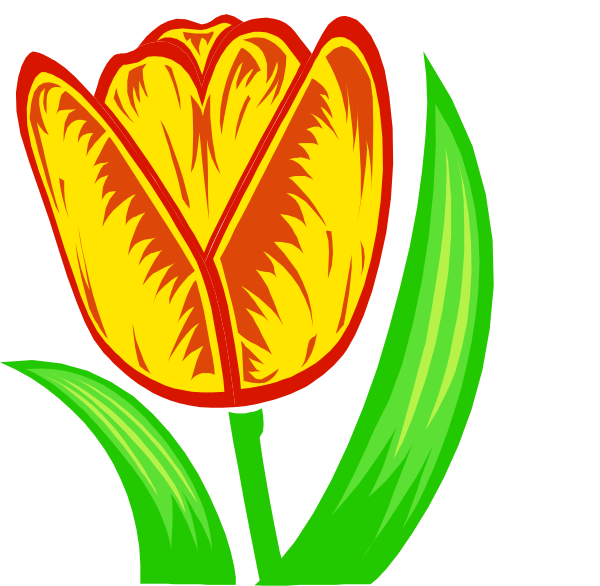 The image features a stylized yellow tulip with red interior lines against a black background.