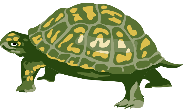 The image shows a cartoon turtle with orange spots on its shell walking to the right against an unseen background.