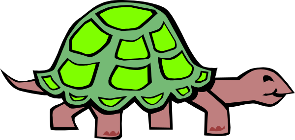 The image shows a cartoon turtle with green shell standing upright on two legs against a dark background.