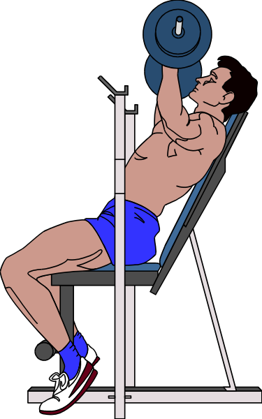 The black and white illustration shows a man sitting on an exercise bench with weights above his head as if he is performing bicep curls in front of him.