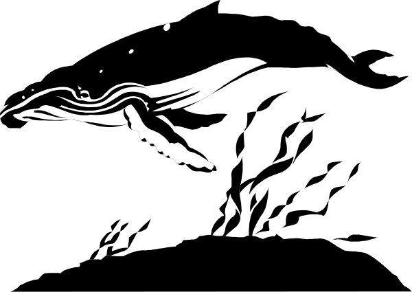 The black and white silhouette of a whale with its tail fin raised above water.
