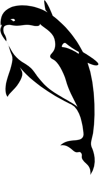 The image shows a black penguin standing on its head with flippers outstretched against a white background.