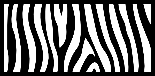The black and white zebra pattern on a gray background with no other discernible elements present.