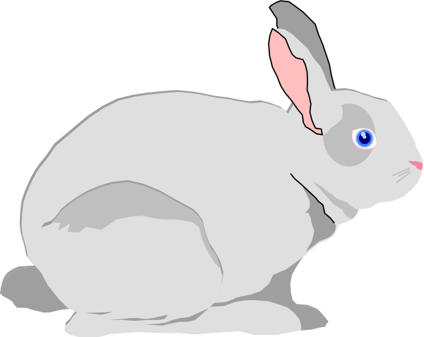 The image shows a white cartoon rabbit sitting on its hind legs with blue eyes against a black background.
