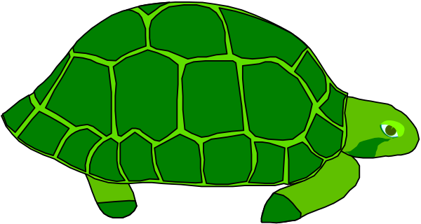 The image shows a green turtle with white spots on its shell next to an orange snail that is also spotted in color.