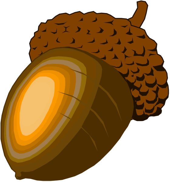 The image shows a cartoon of an apple with its core exposed to reveal seeds inside it on top left corner; next to that is another piece showing only half of the same fruit without any visible interior details in bottom right corner, and below both images there's a slice through one side revealing more seed-like structures.