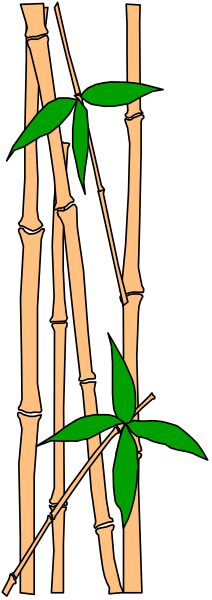 The image shows a bamboo plant with green leaves against two different backgrounds: black on top half of photo and gray in bottom half.