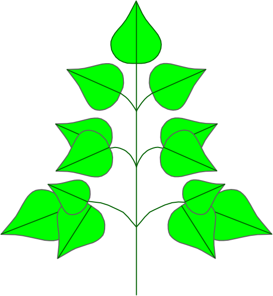 The image shows a stylized graphic of green leaves on branches against a black background with white outlines.