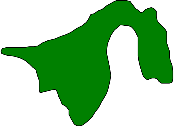 The image shows a green snake with its head on top of another object that resembles an animal's body but is too small to identify clearly due to size constraints in this description format.