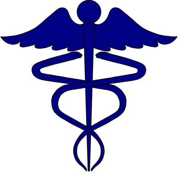 The image shows a blue stylized emblem of an American flag with stars on top corners featuring medical crosses instead of traditional white stars; in center is a graphic representation of a nurse's cap atop two crossed serpents, symbolizing medicine and healing.
