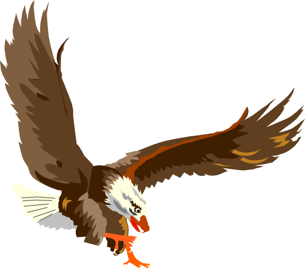 The image shows a colorful eagle with outstretched wings flying over an unseen landscape.