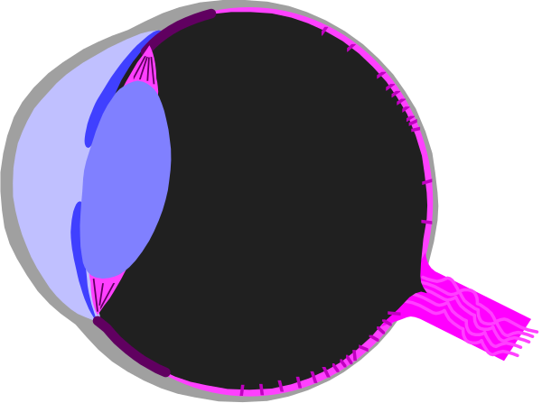 The image shows a close up of an eye with eyelashes on it against a dark background; there is also another smaller inset picture within this larger one that appears to be showing more detail about the iris and pupil, but due to its size and resolution, specific details are not clear.