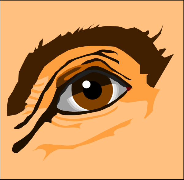 The image shows a closeup of an eye with brown iris against a red background on top left corner; below it is another smaller picture showing only half of someone's face from nose to chin in black-and-white, suggesting that this might be part of a larger graphic or design project.