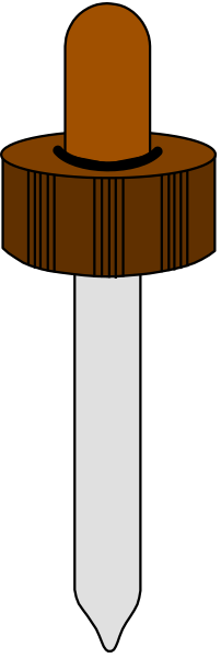 The image shows a syringe with two needles attached to it on either end of its barrel; there is no liquid in the cylindrical body of the needleless syringe.