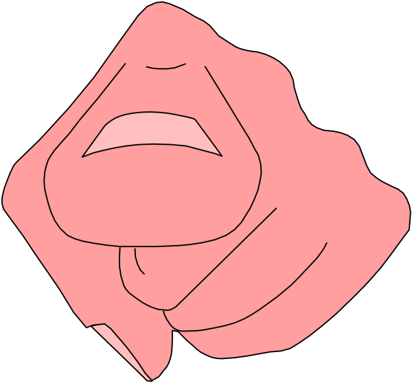 The image shows a black silhouette of an ice cream cone with two scoops on top against a white background.